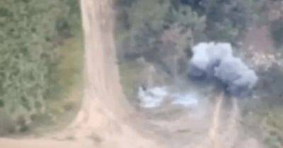 FPV-дроны "дикі шершні" атаковали два танка РФ (видео) - focus.ua - Россия - Украина