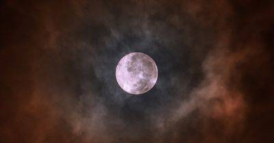 Голубая Луна 31 августа 2023 года: чего ожидать от самого большого полнолуния этого года - focus.ua - Украина