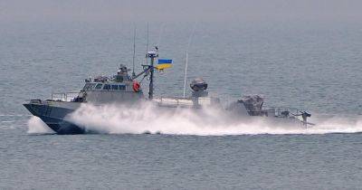 "С боевыми дельфинами и шиншиллами": в ССО опровергли уничтожение 4 катеров в Черном море