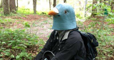 Запоминают лица: ученый целый год носил маску птицы, чтобы обмануть синиц (фото)