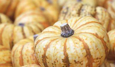 Осенний лекарь: какой осенний овощ необходимо потреблять всей семьей