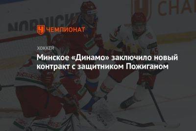 Минское «Динамо» заключило новый контракт с защитником Пожиганом