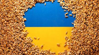 Война в Украине вызвала один из самых разрушительных периодов для мировой продовольственной безопасности – отчет
