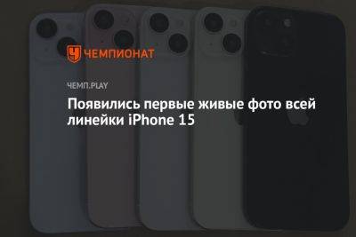 Появились первые живые фото всей линейки iPhone 15