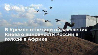 Песков назвал заявления Киева о виновности России в голоде в Африке ошибочными