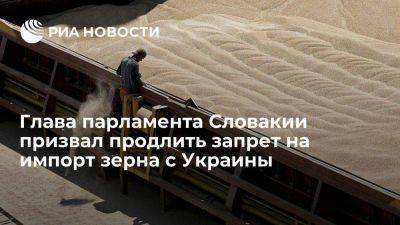 Глава парламента Словакии призвал продлить запрет на импорт украинского зерна