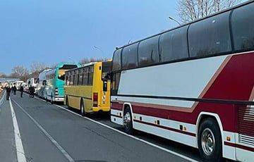 На выезд из Беларуси в Польшу резко выросли очереди автобусов