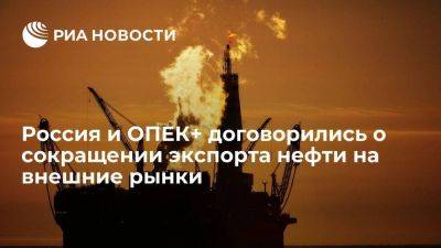 Новак: Россия и ОПЕК+ договорились о сокращении экспорта нефти на внешние рынки