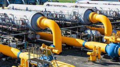 В Минэнерго рассказали, сможет ли украинская ГТС работать без транзита российского газа