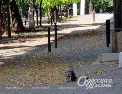 Погода в Одессе и Одесской области 1 сентября: ухудшение погодных условий