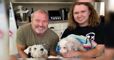 Начал вилять хвостом: в США пропавшая собака воссоединилась с семьей спустя 12 лет (видео)