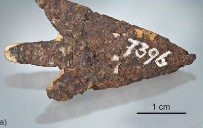 В Швейцарии нашли оружие из метеорита, сделанное 3000 лет назад - фото