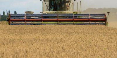 «Ради благополучия фермеров». В сентябре Польша закроет границу для украинского зерна