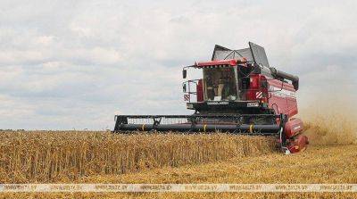 Сельхозфилиалы организаций Минэнерго убрали зерновые на 34% площадей