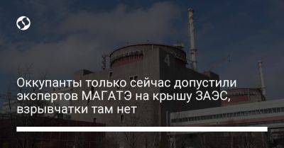 Оккупанты только сейчас допустили экспертов МАГАТЭ на крышу ЗАЭС, взрывчатки там нет