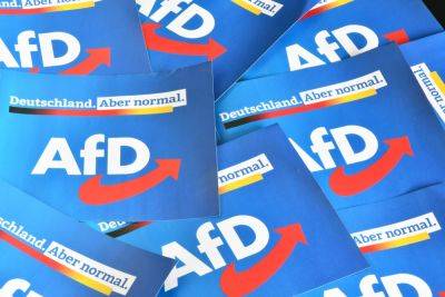 Немецкая ультраправая партия AfD финансировалась из России