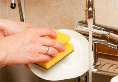 Об этом знает не каждая хозяйка: почему губки для мытья посуды имеют разный цвет. Вы удивитесь