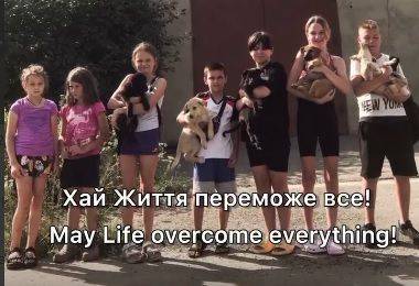 В Харькове собака со щенком двое суток просидели в коллекторе: спасли дети
