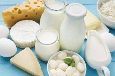 Цены на молочные продукты снизились в России