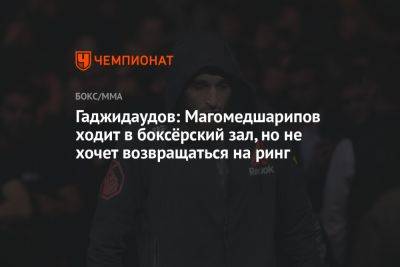 Гаджидаудов: Магомедшарипов ходит в боксёрский зал, но не хочет возвращаться на ринг