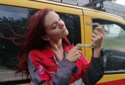 Змея заползла в квартиру в Киеве – хозяйка вызвала зоозащитников – фото