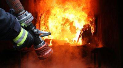 В Московской области на фабрике вспыхнул мощный пожар