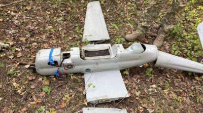 Украинские защитники сбили вражеский дрон над Днепропетровщиной