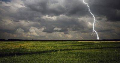 Погода в Украине 7 августа: в большинстве областей дожди с грозами (КАРТА)