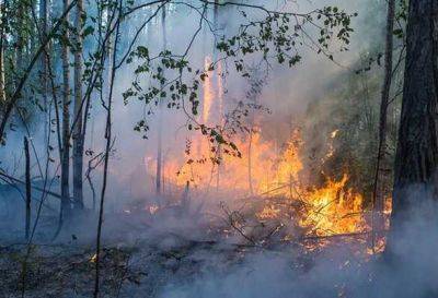 В российской Якутии вспыхнуло почти 100 пожаров в 13 районах