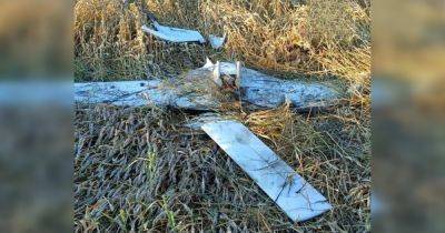 Сработала РЭБ: в Курской области приземлили загадочный дрон "из Украины", — росСМИ