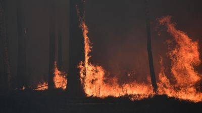 Лесные пожары охватили Якутию, уже выгорело более 1,2 га