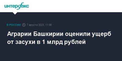 Аграрии Башкирии оценили ущерб от засухи в 1 млрд рублей