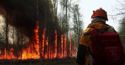 Российскую Якутию охватили масштабные лесные пожары: введен режим ЧС (видео)