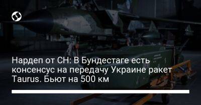 Нардеп от СН: В Бундестаге есть консенсус на передачу Украине ракет Taurus. Бьют на 500 км