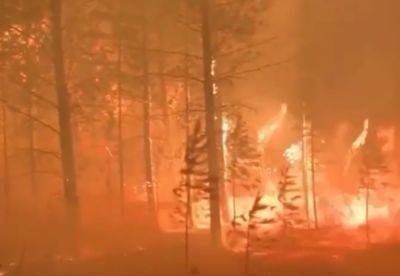 Адский пожар на россии: горит огромная территория на 125 тысяч га. Видео