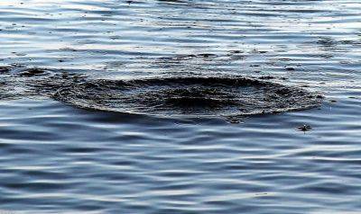На Харьковщине утонул иностранец, еще одного мужчину ищут – ГСЧС о ЧП на воде