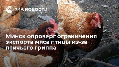 Смильгинь опроверг информацию об ограничении экспорта мяса птицы из-за птичьего гриппа