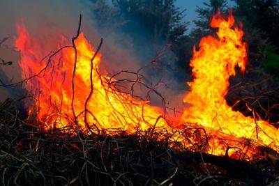 Израиль поможет Кипру тушить лесные пожары