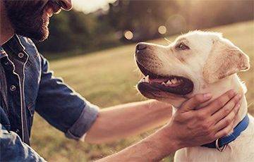 Ученые выяснили, как собаки влияют на иммунитет людей