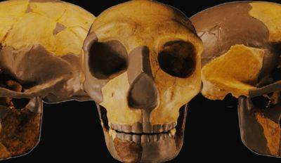 В Китае обнаружили череп неизвестного ранее вида людей