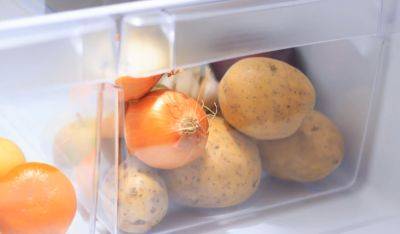 Можно ли хранить картофель в холодильнике: важные нюансы, которые помогут сохранить качества овоща