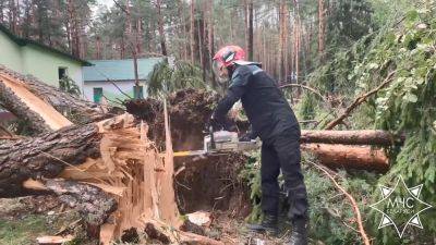 В Беларуси устраняют последствия непогоды