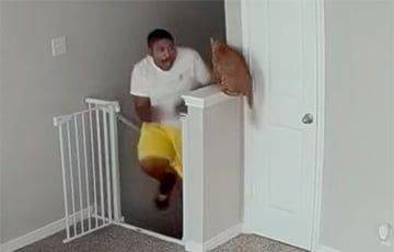 Видеохит: кошка выжидала 20 минут, чтобы напугать хозяина на лестнице