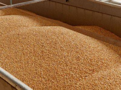 Reuters: россии приходится полагаться на "теневой флот" для экспорта зерна
