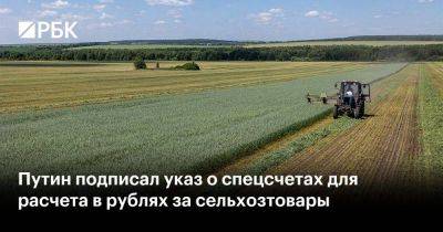 Путин подписал указ о спецсчетах для расчета в рублях за сельхозтовары