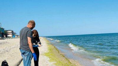 Стало известно, как пляжи Одесской области будут защищать от мин