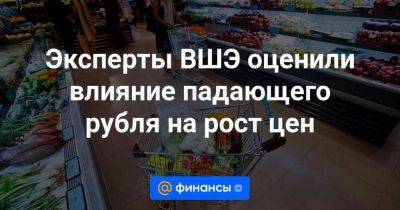 Софья Донец - Эксперты ВШЭ оценили влияние падающего рубля на рост цен - smartmoney.one - Россия