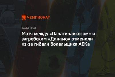 Матч между «Панатинаикосом» и загребским «Динамо» отменили из-за гибели болельщика АЕКа