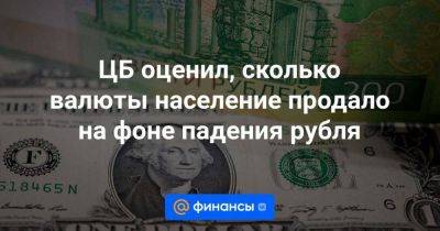 ЦБ оценил, сколько валюты население продало на фоне падения рубля