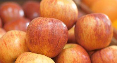 Плоды будут налитыми и сочными: обязательные процедуры с яблоней в августе